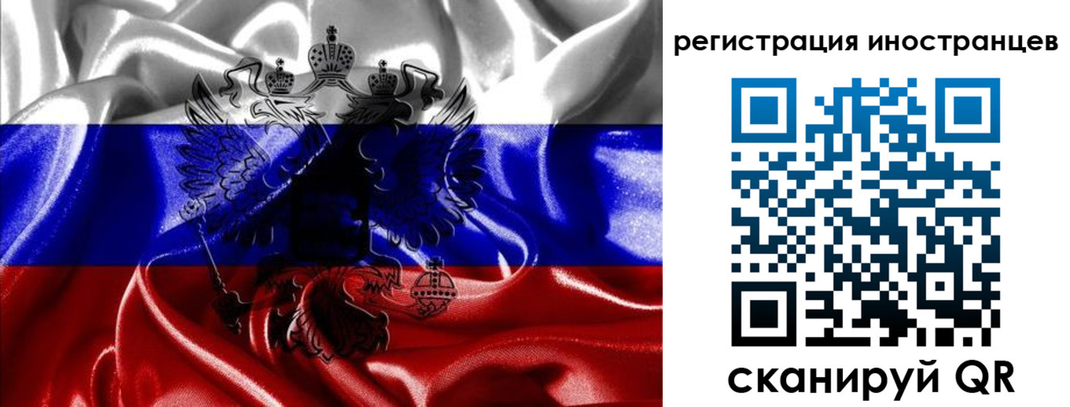 регистрация в Светлом
